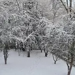 Apartament Kuechwald *