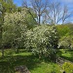 Kuechwald * Chemnitz