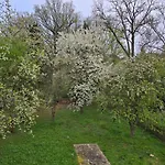 Kuechwald