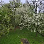 Kuechwald