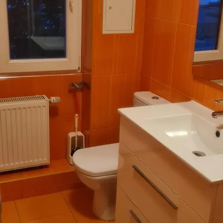 Apartment Kuechwald *