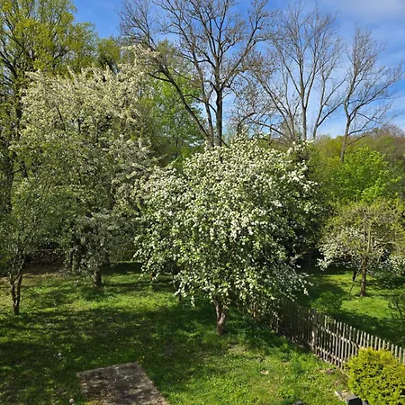 Kuechwald * Chemnitz