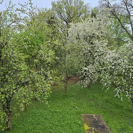Appartement Kuechwald