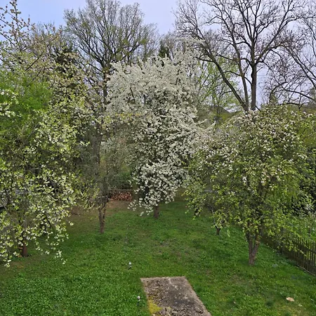 Kuechwald