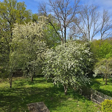 Kuechwald Chemnitz