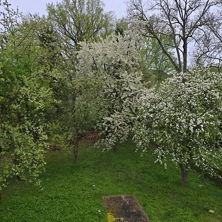 Kuechwald