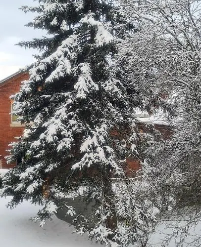 Kuechwald Apartment *