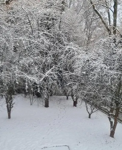 Apartment Kuechwald *