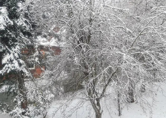 Kuechwald Apartment Chemnitz