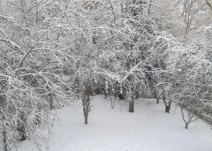 Apartment Kuechwald *