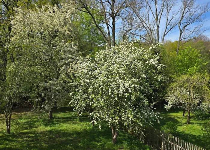Kuechwald * Chemnitz